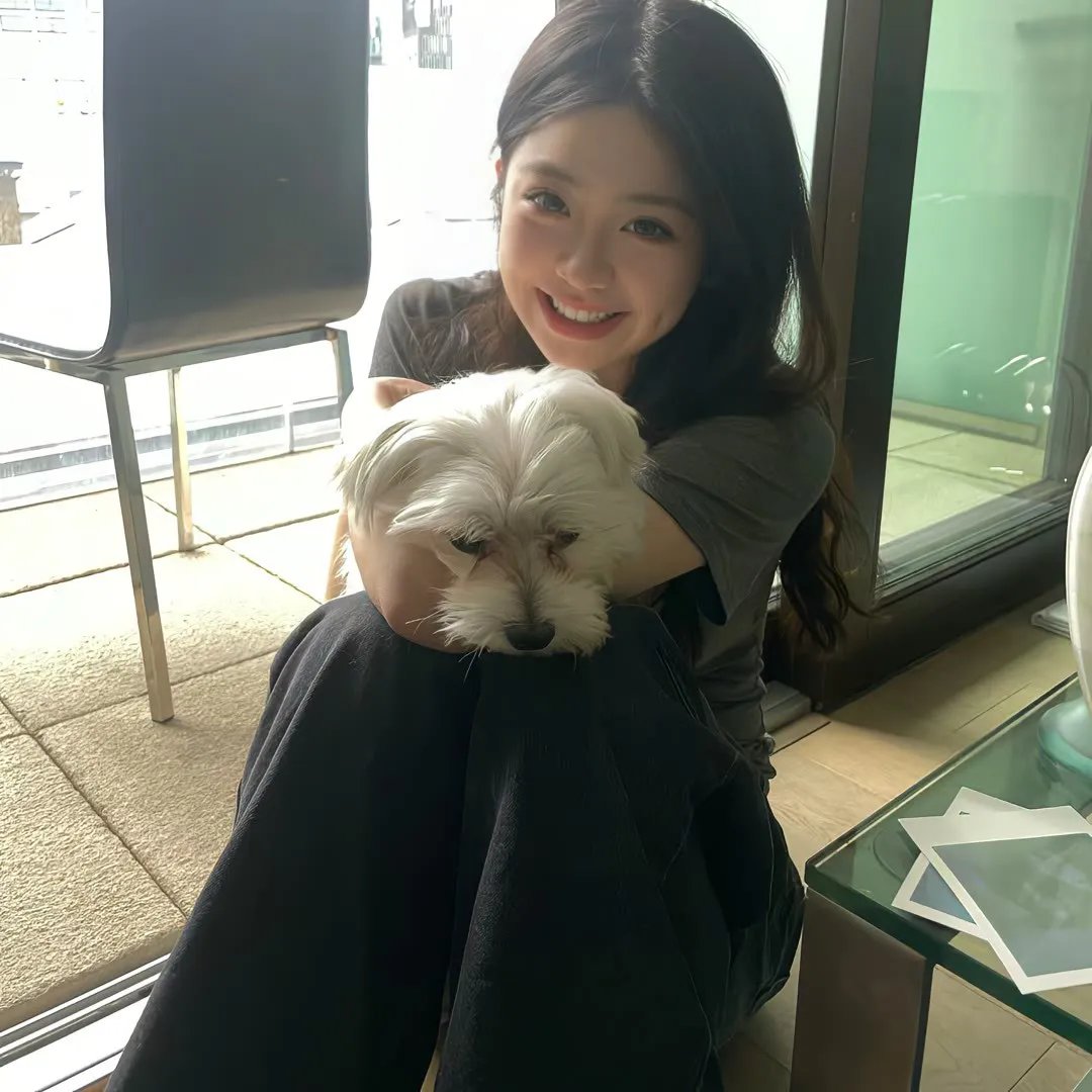 小麻雀