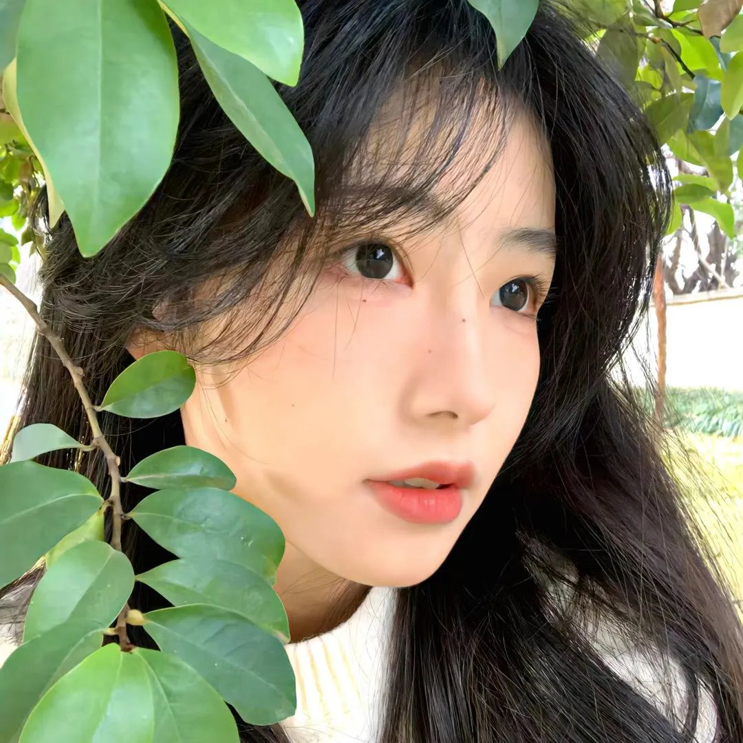 沉香如屑